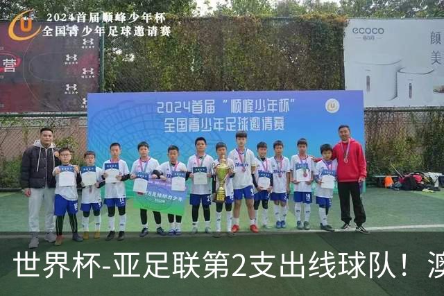 世界杯-亚足联第2支出线球队！澳大利亚0-0巴拉圭获小组第2